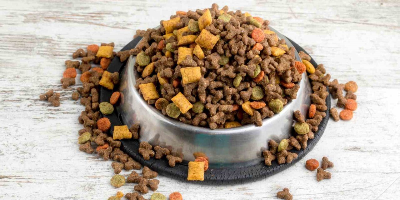 Türkiye’nin kedi-köpek maması ihracatında yüzde 64’lük artış