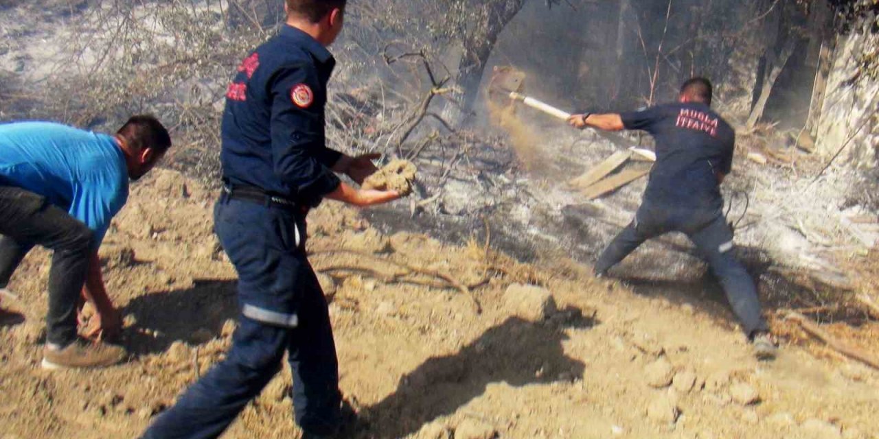 Karabağlar Yaylası’nda aynı günde ikinci yangın