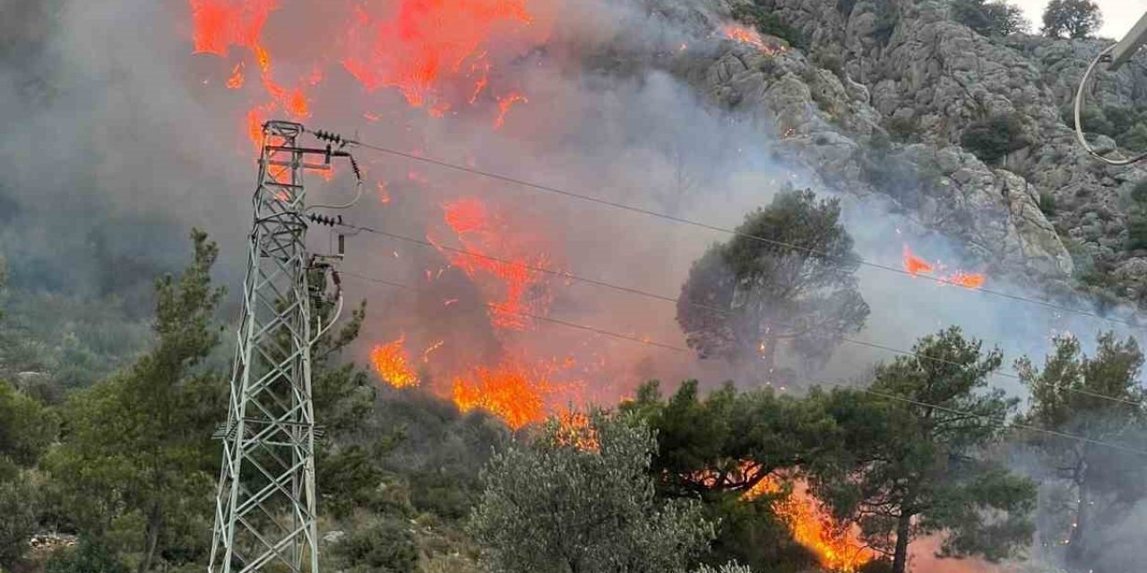 Seydikemer’de orman yangını