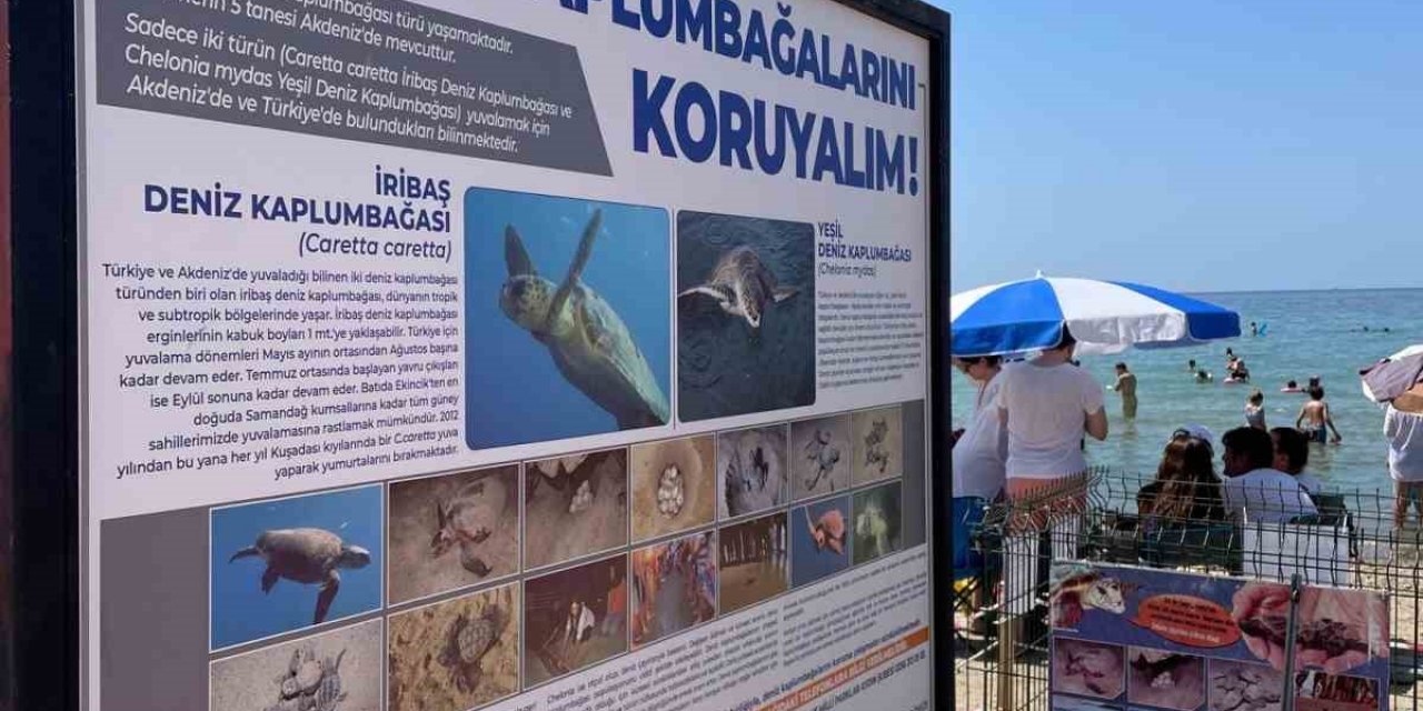 Kuşadası Belediyesi’nden Caretta Caretta yuvaları için bir önlem daha