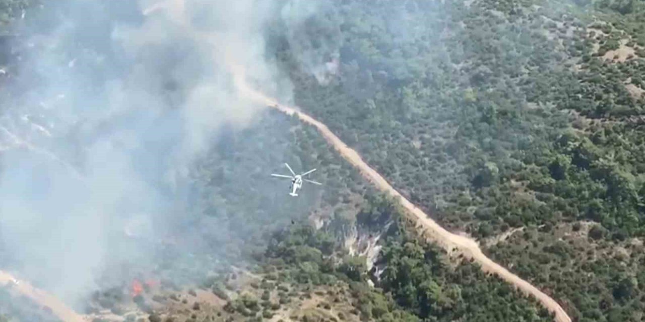 Manisa’da orman yangını