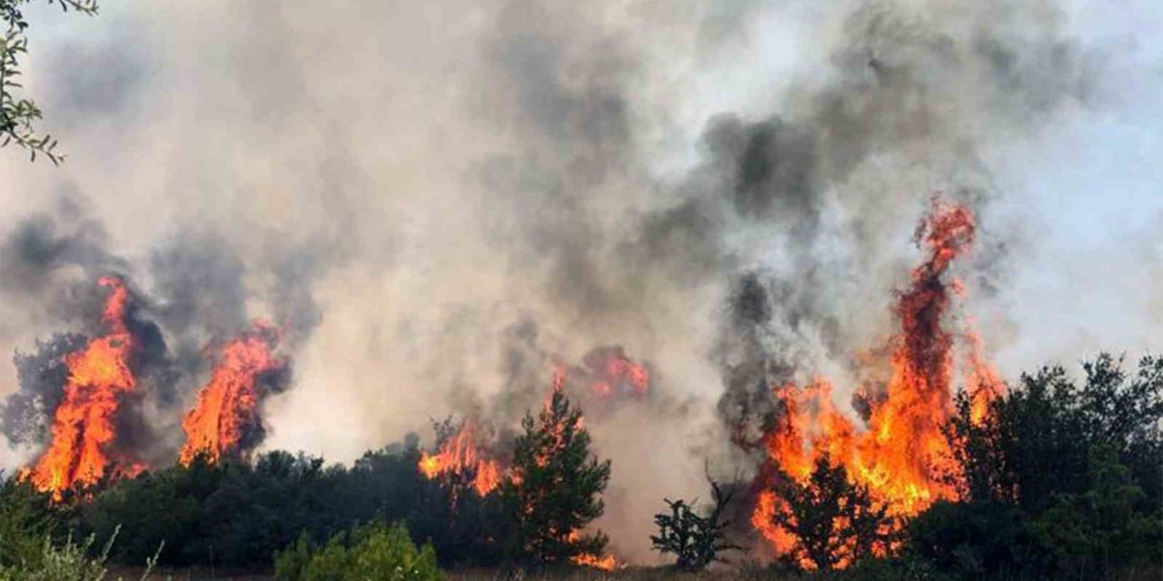 Valilikten sıcak ve yangın uyarısı