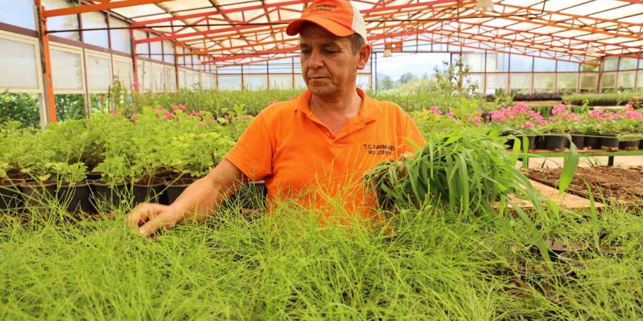 Marmaris Belediyesi, üreterek tasarruf etti