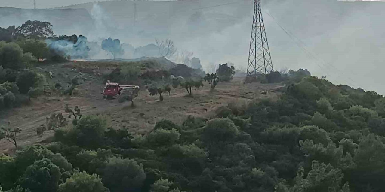Aliağa’da makilik alanda yangın