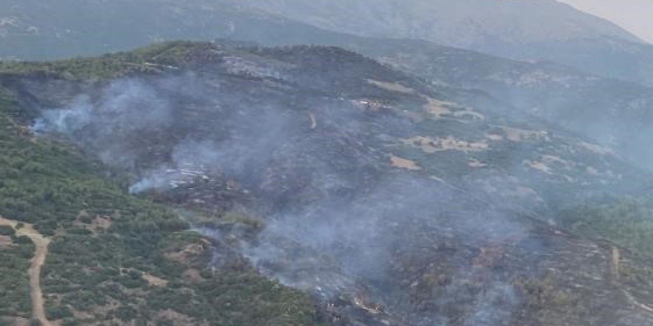 Ödemiş’teki yangın kontrol altına alındı