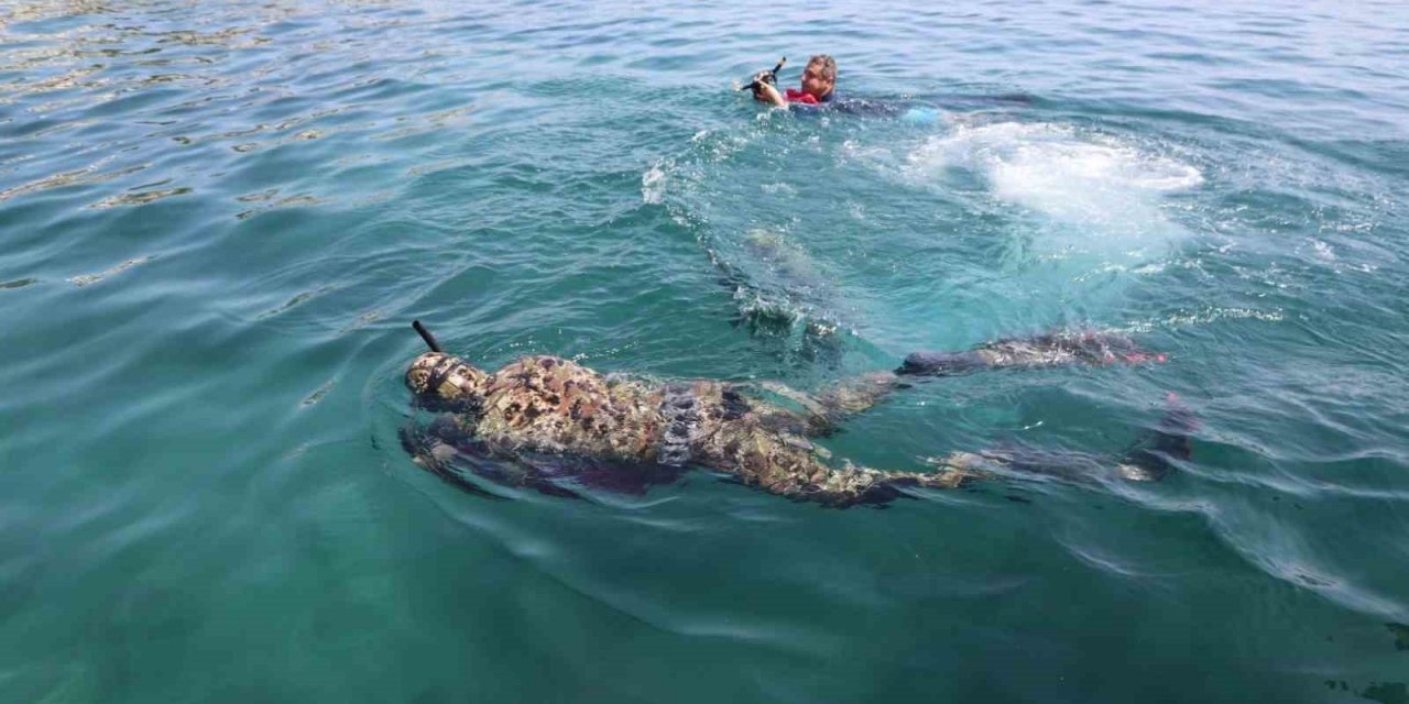Gündoğan’da deniz dibi temizliği