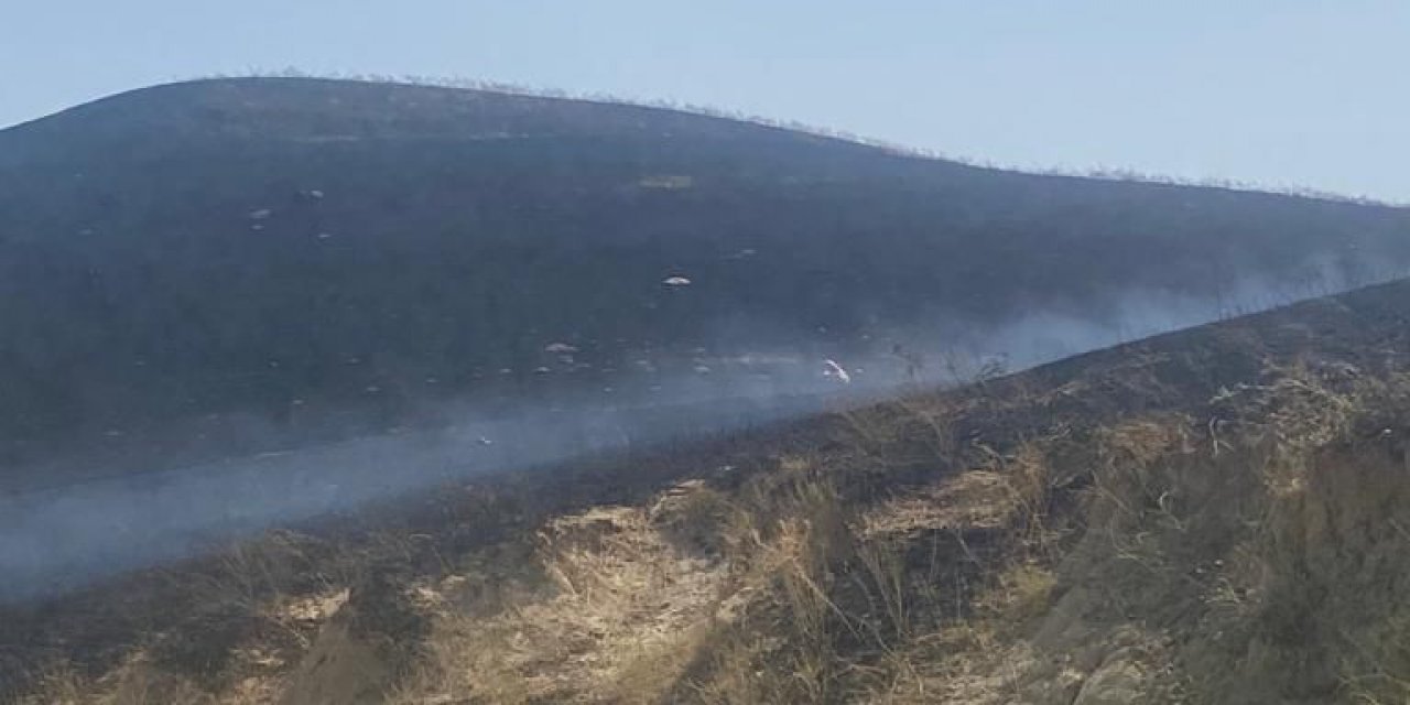 Manisa’da otluk alanda yangın: 1 kişi dumandan etkilendi