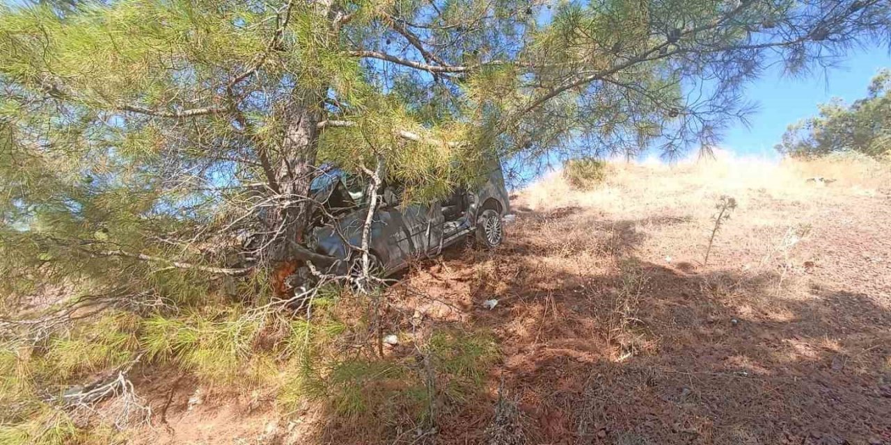 Uçuruma düşen araç, ağaca çarparak durdu