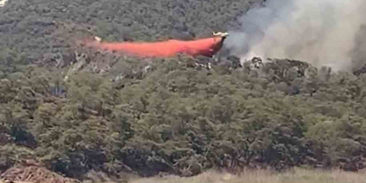Fethiye’de orman yangını