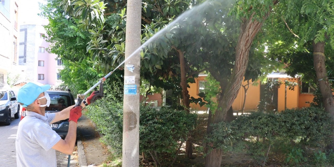 Manisa Büyükşehir’den Turgutlu’da ilaçlama çalışmaları