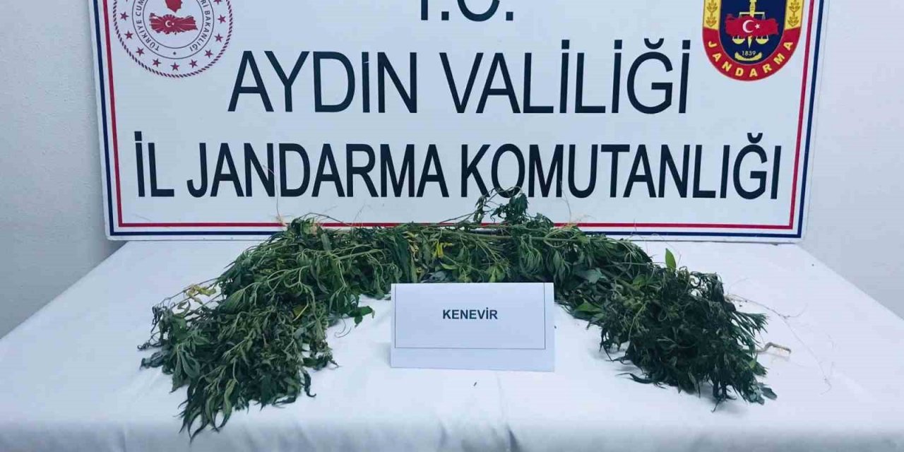 Köşk’te uyuşturucu operasyonu: 2 gözaltı