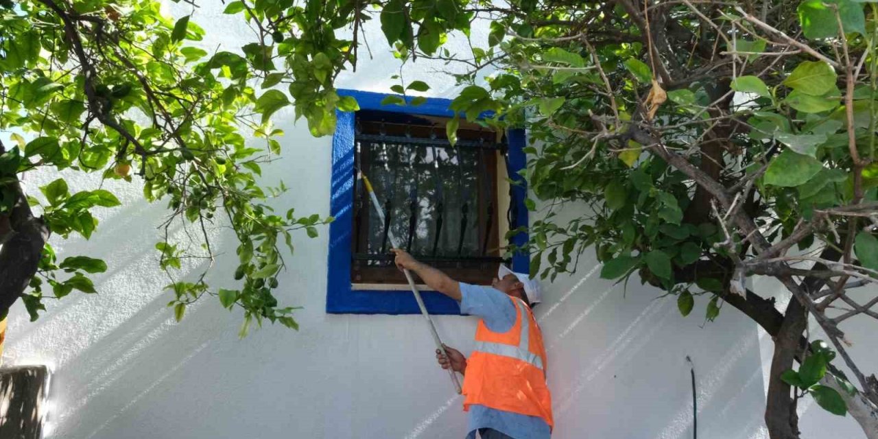 Bodrum sokakları mavi ve beyaza bürünüyor