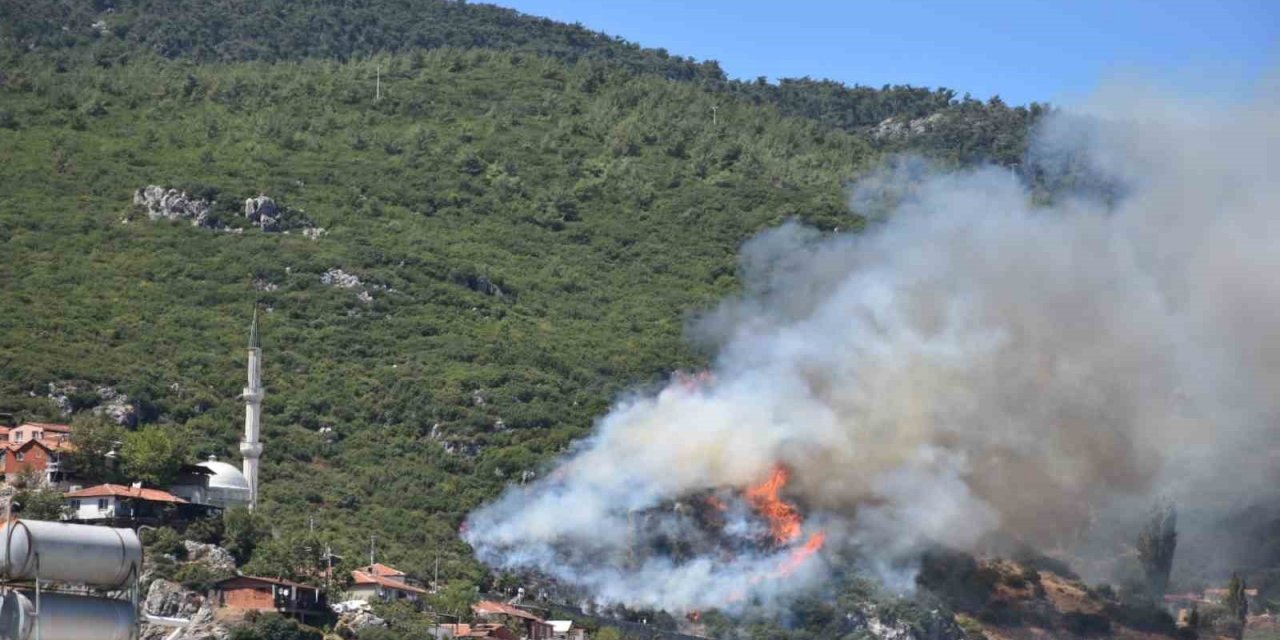 İzmir Kemalpaşa’da orman yangını