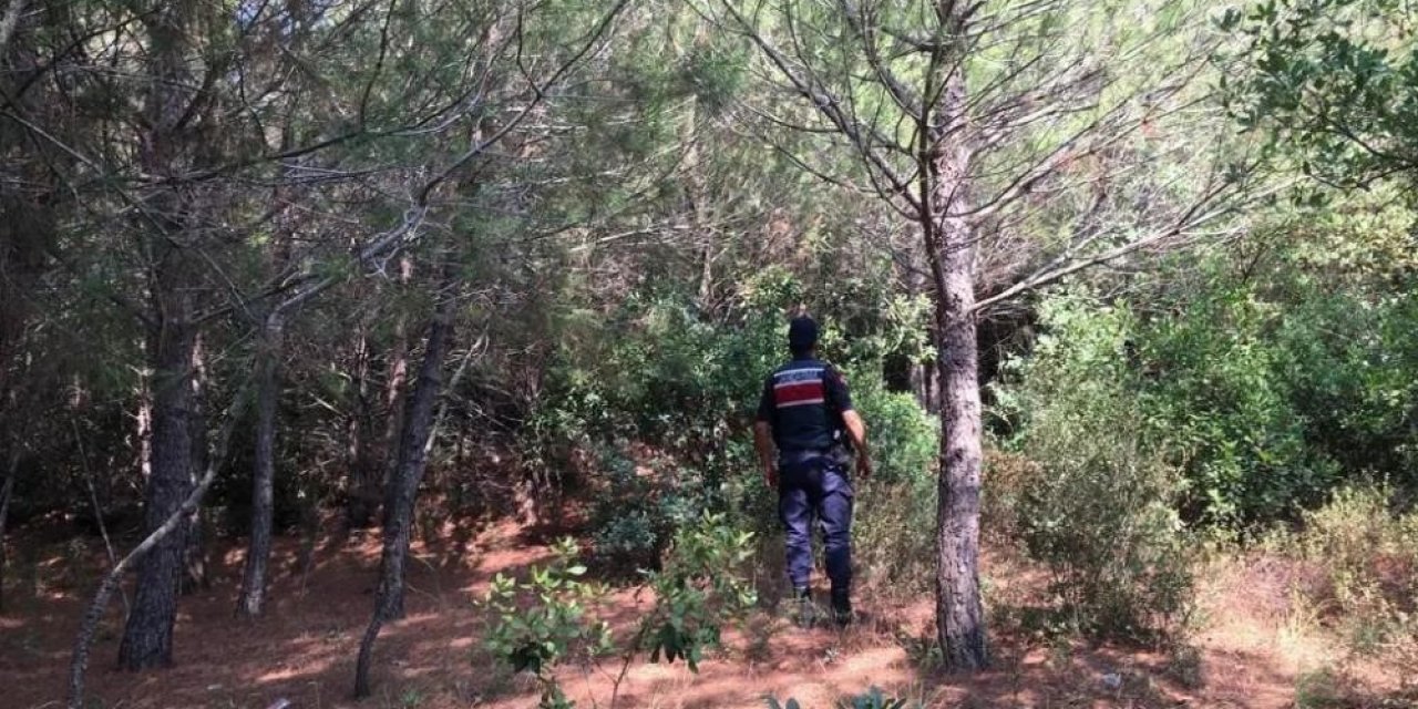 Ormanlık alanda mangal yaktılar, cezadan kaçamadılar