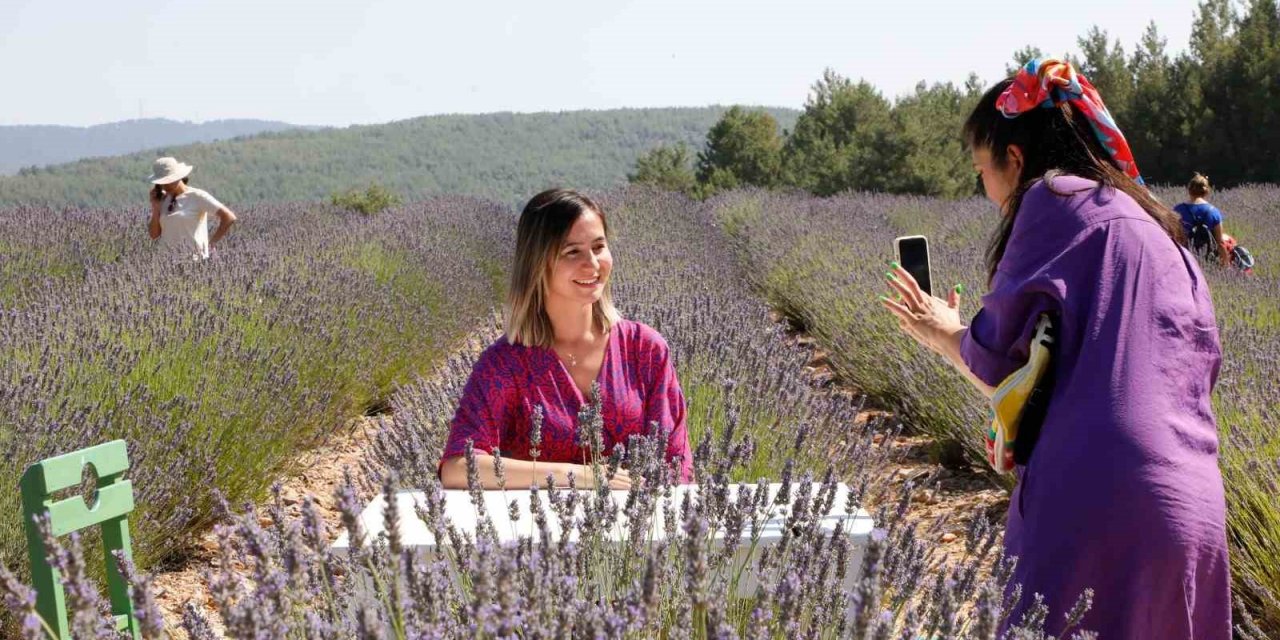 Muğla’nın ‘Mor’ bahçesine ziyaretçi akını