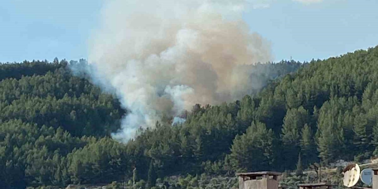 Muğla’da orman yangını