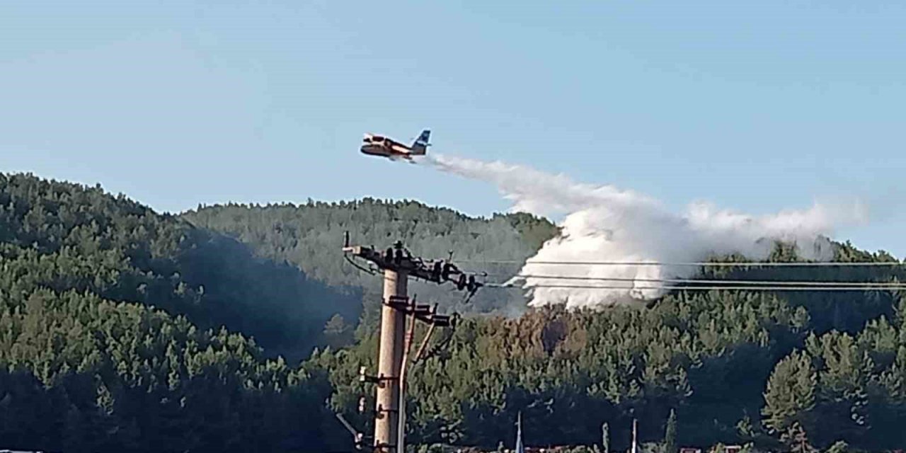 Muğla’daki orman yangını kontrol altına alındı