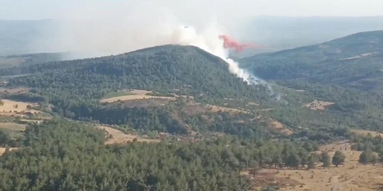 Manisa’da orman yangını