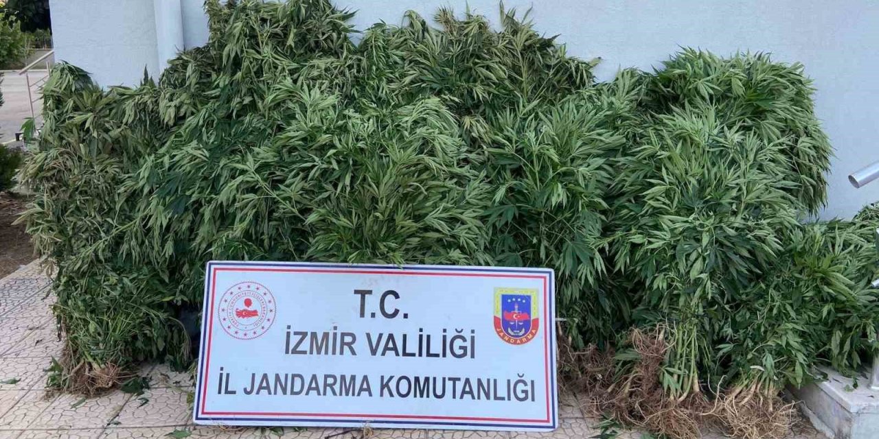 Jandarmadan uyuşturucu tacirlerine geçit yok