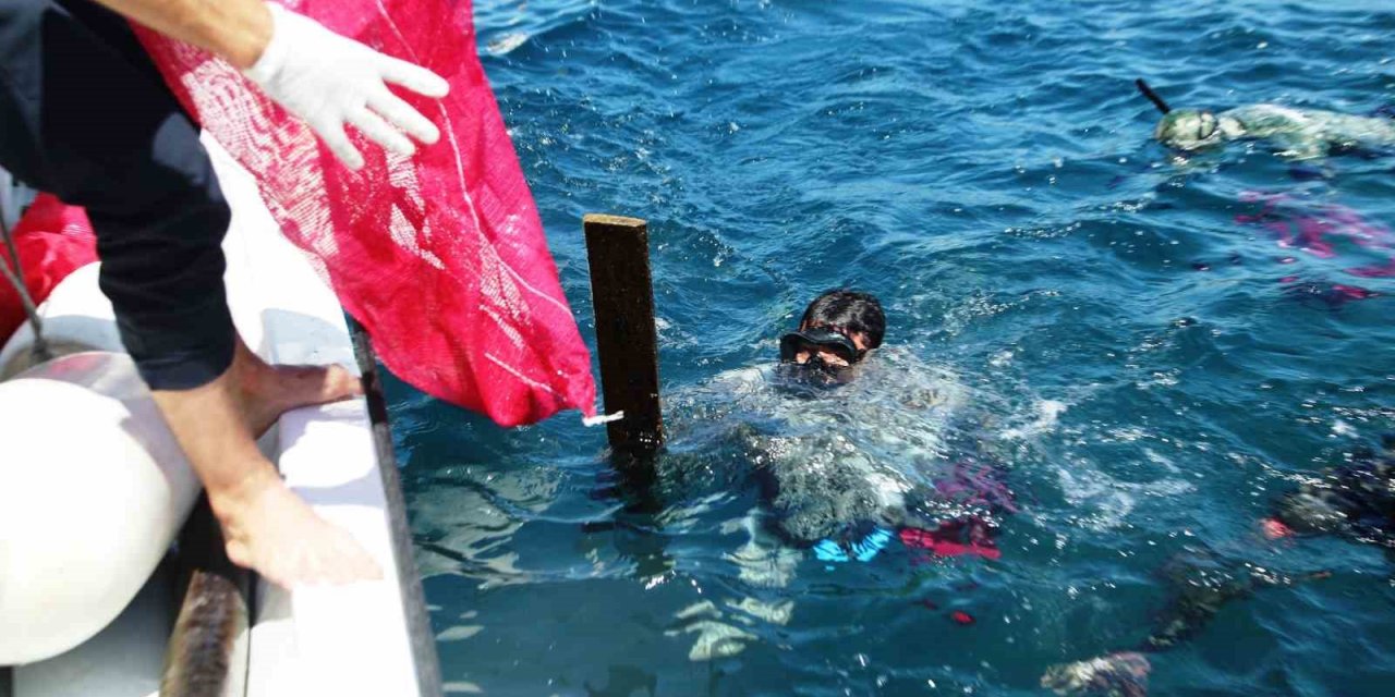 Denizin dibinden çıkanlar şok etti