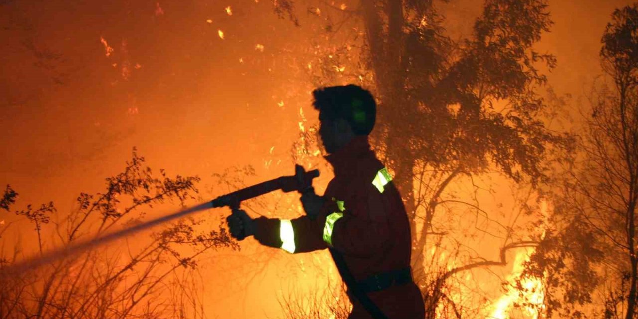 Yeşil vatanın isimsiz kahramanları ‘Ormancılar’