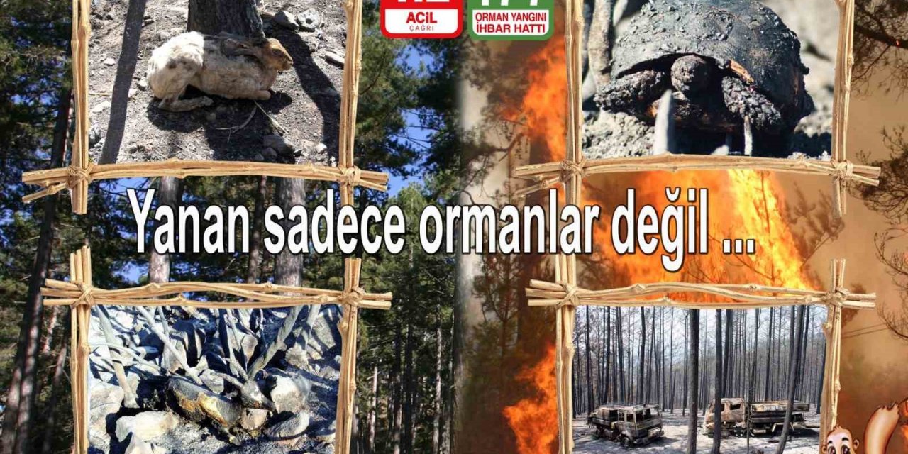 Orman yangınlarına karşı vatandaşlar uyarıldı