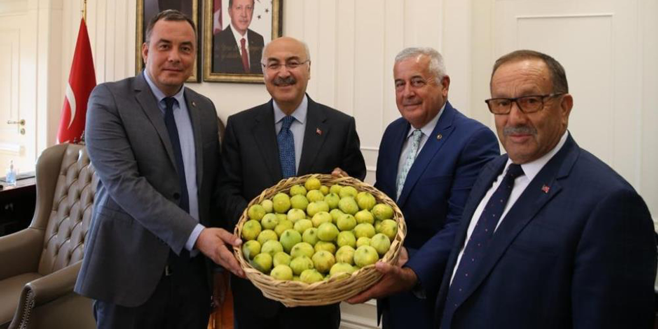 Borsa, sezonun ilk incirini İzmir Valisi Köşger’e takdim etti