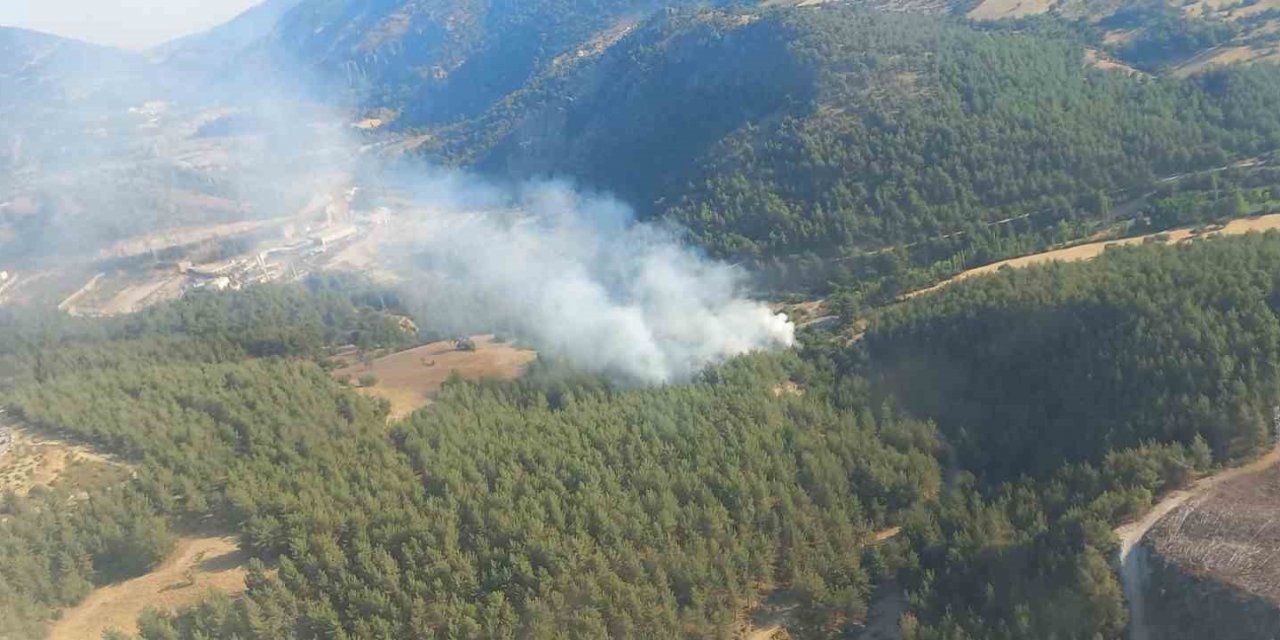 İzmir’de orman yangınına havadan ve karadan müdahale ediliyor