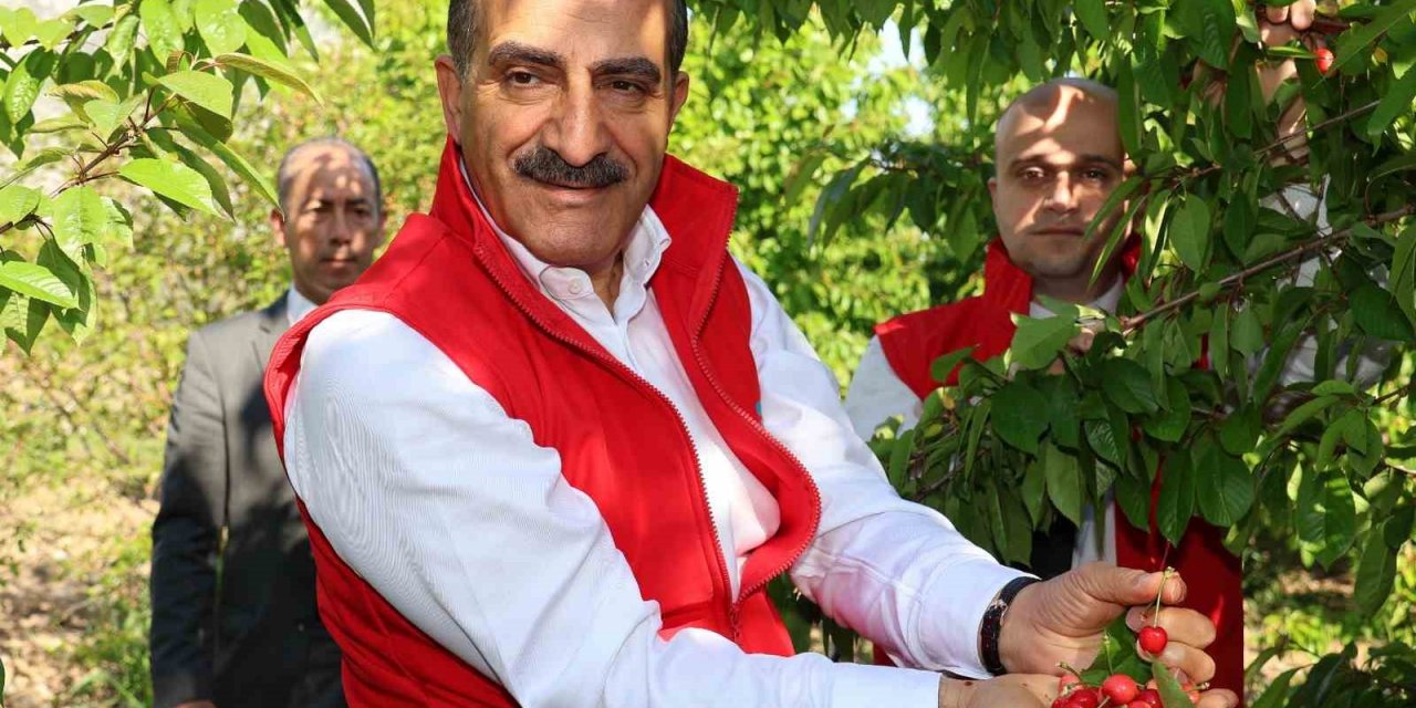 Kiraz ihracatı 200 milyon doları aştı