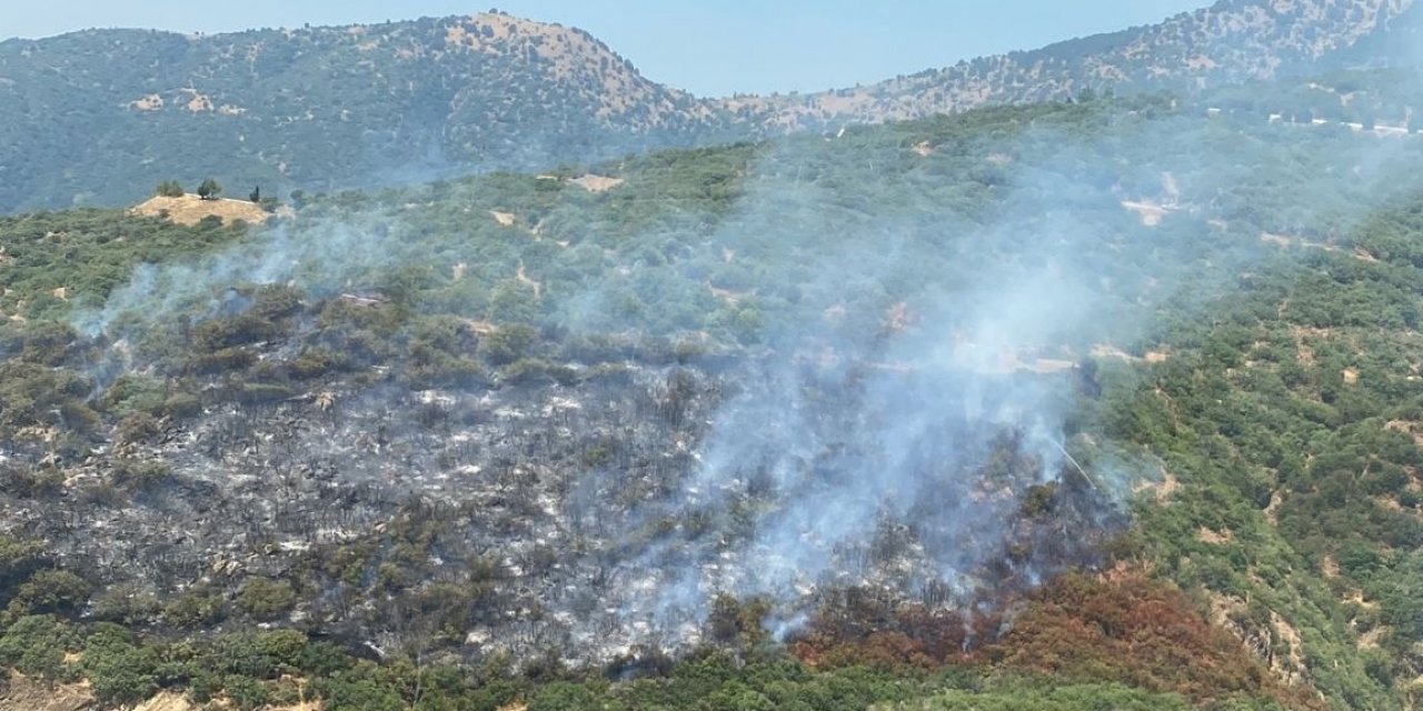 Araç yangını ormana sıçradı, havadan müdahale başladı