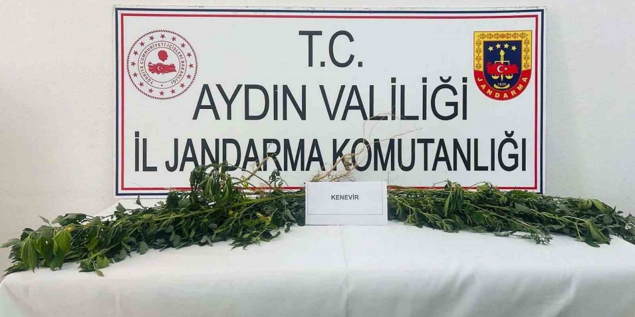 Jandarma uyuşturucuya geçit vermiyor