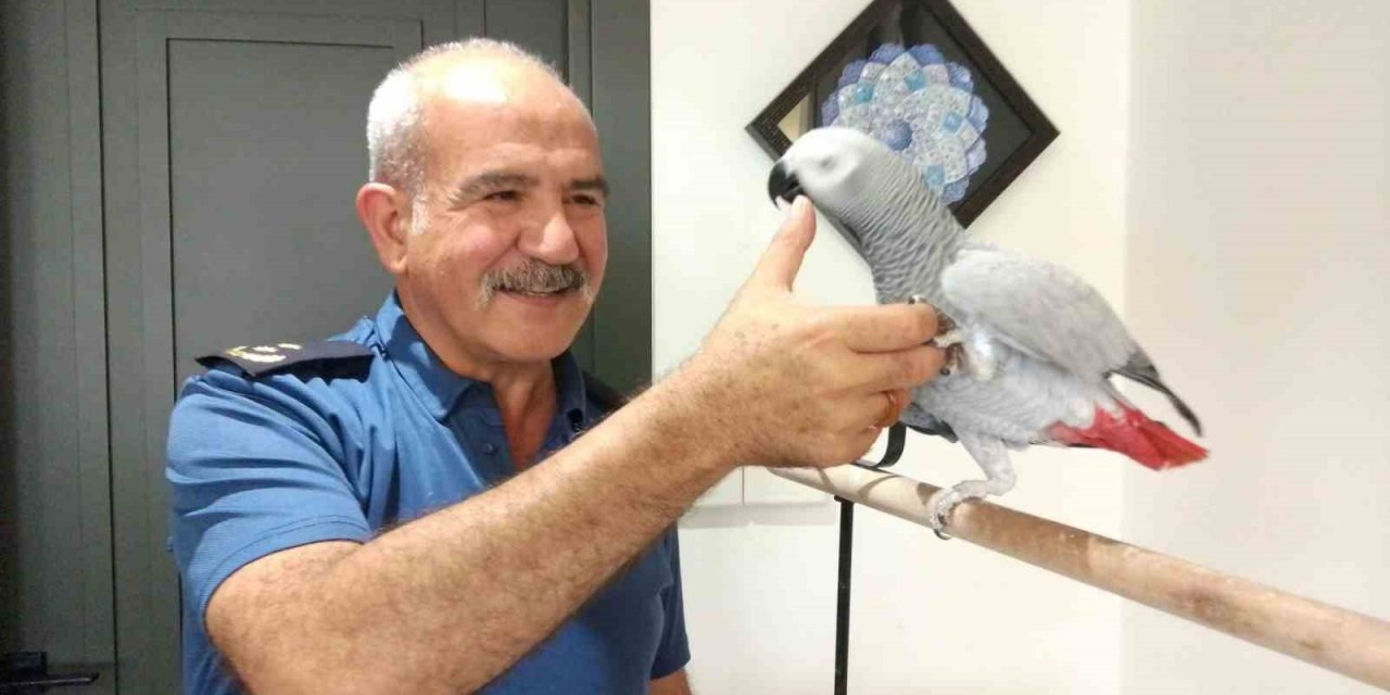 Emniyet müdürünün hayvan sevgisi görenlerin takdirini topluyor