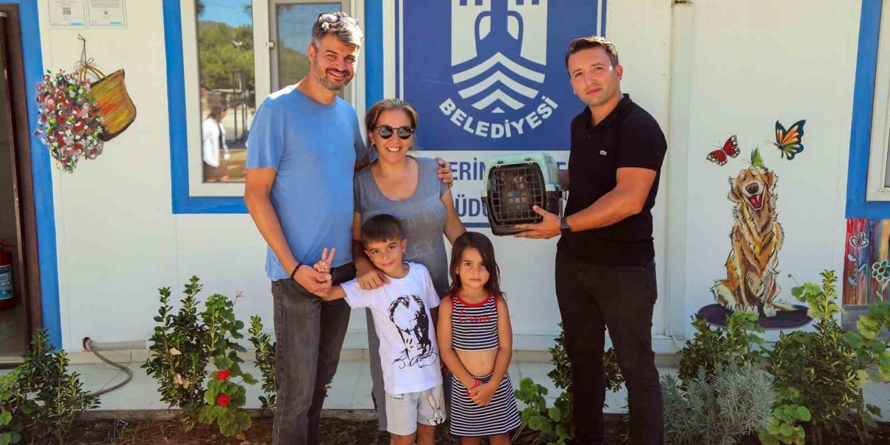 Bodrum’da bir firari maymun