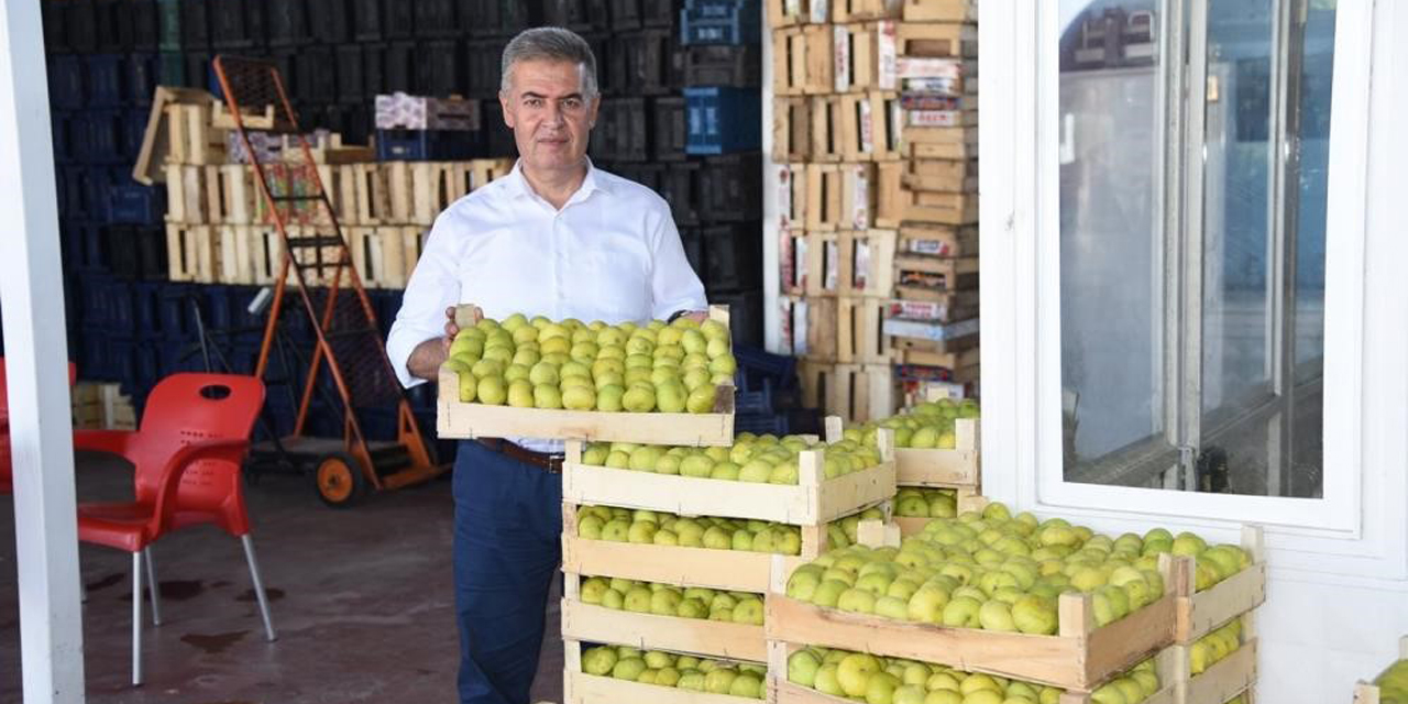 Aydın’ın milli meyvesi İncir, Avrupa’nın gözde meyvesi oldu