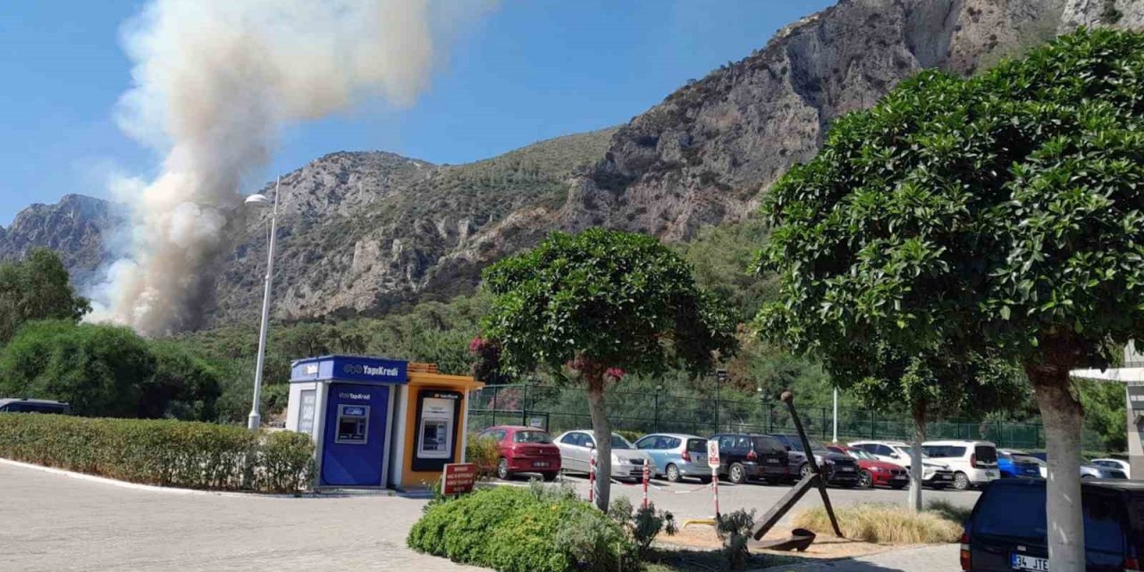 Milas’ta orman yangını