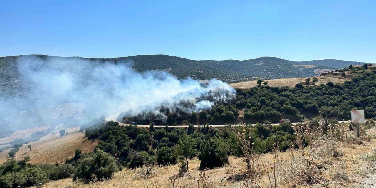 Kula’da orman yangını kontrol altına alındı
