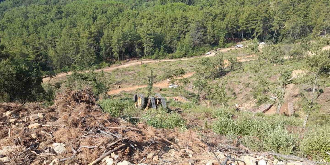 Muğla’da orman kesim alanında iş kazası: 1 ölü