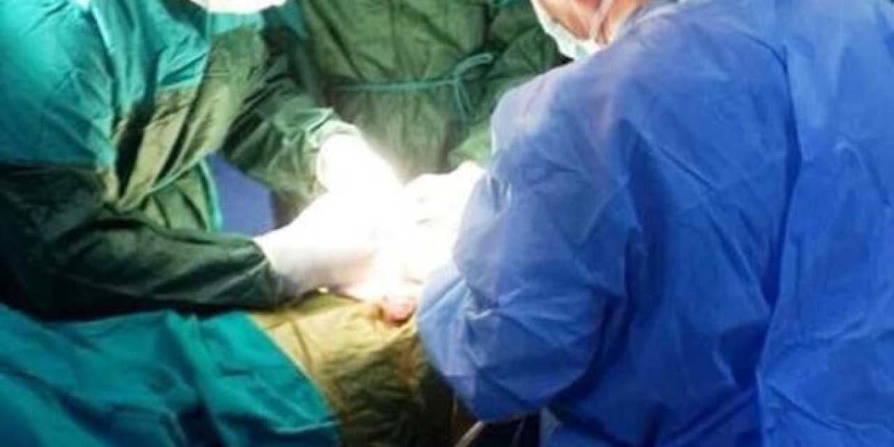 Danıştay 1. Dairesi, ADÜ’deki sahte raporlu organ nakil ameliyatları hakkında karar verdi
