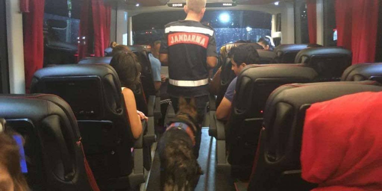 Jandarmanın uyuşturucu operasyonunda 30 şüpheli yakalandı