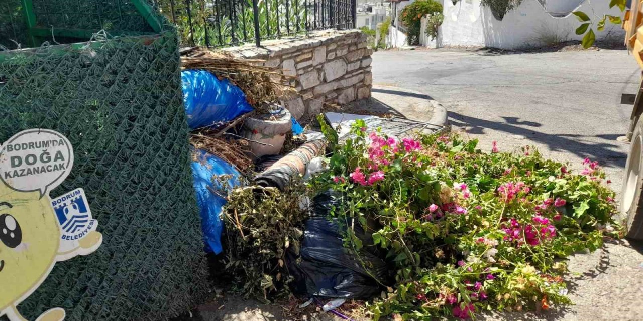 Boş konteynerlerin çevresi çöplüğe döndü