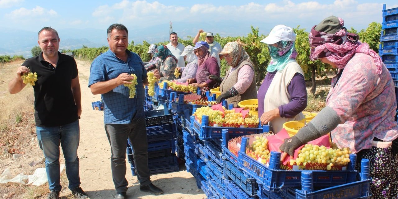 Sultani üzümde ilk ihracat tırları yola çıktı