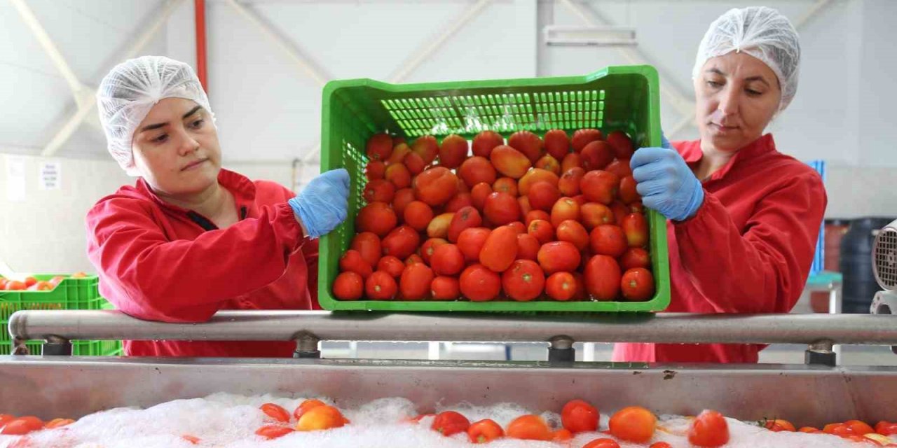 Efe kadınlar üretiyor, işliyor, halka sunuyor