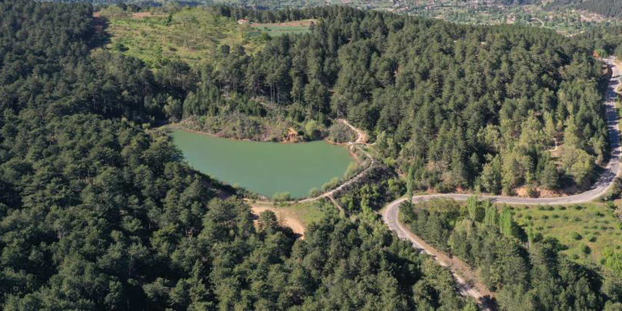 Karadeniz değil Aydın