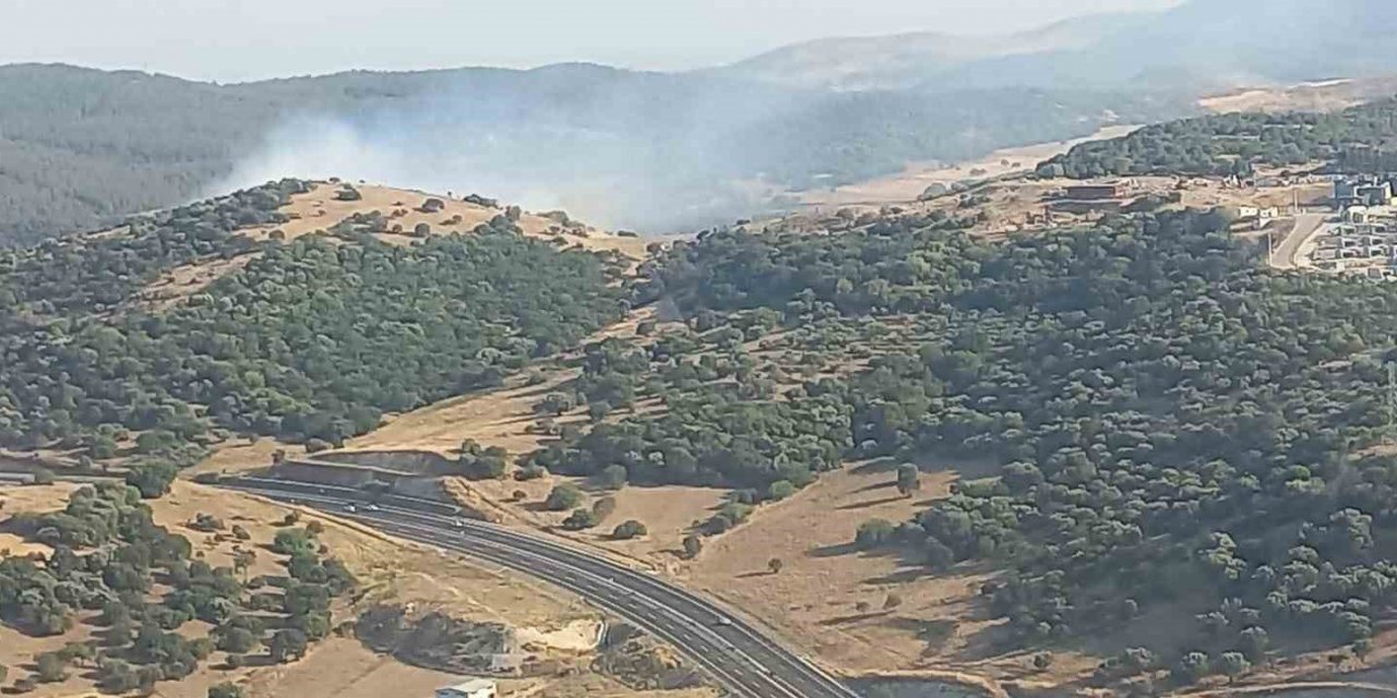 Aliağa’da makilik yangını kontrol altına alındı