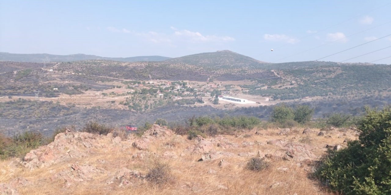 İzmir’de otluk ve makilik yangını kontrol altına alındı