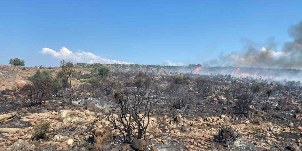 Aliağa’da makilik yangını havadan ve karadan müdahale ile kontrol altına alındı