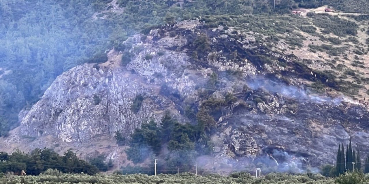 Manisa’da orman yangını bir saatte kontrol altına aldı