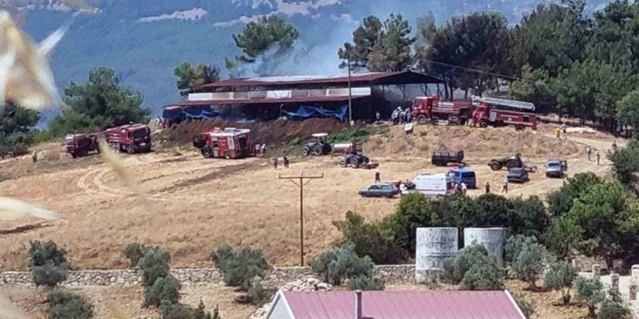 Ahır yangınında 2 büyükbaş hayvan telef oldu