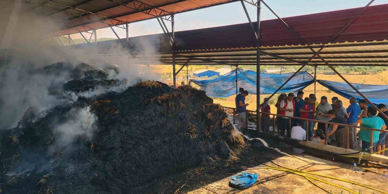 Ahır yangınında zarar büyük