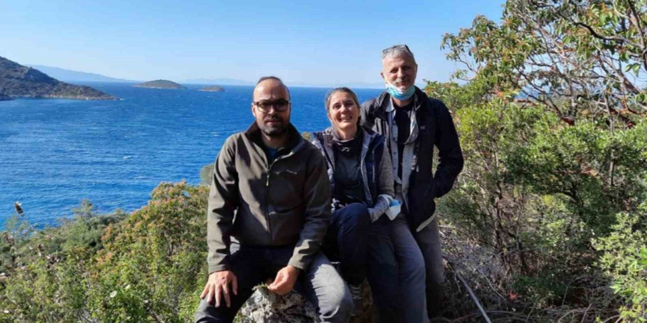 ‘Ormanın Sırrı: Karakulak’ Avusturya Doğa Filmleri Festivali’nde finale kaldı